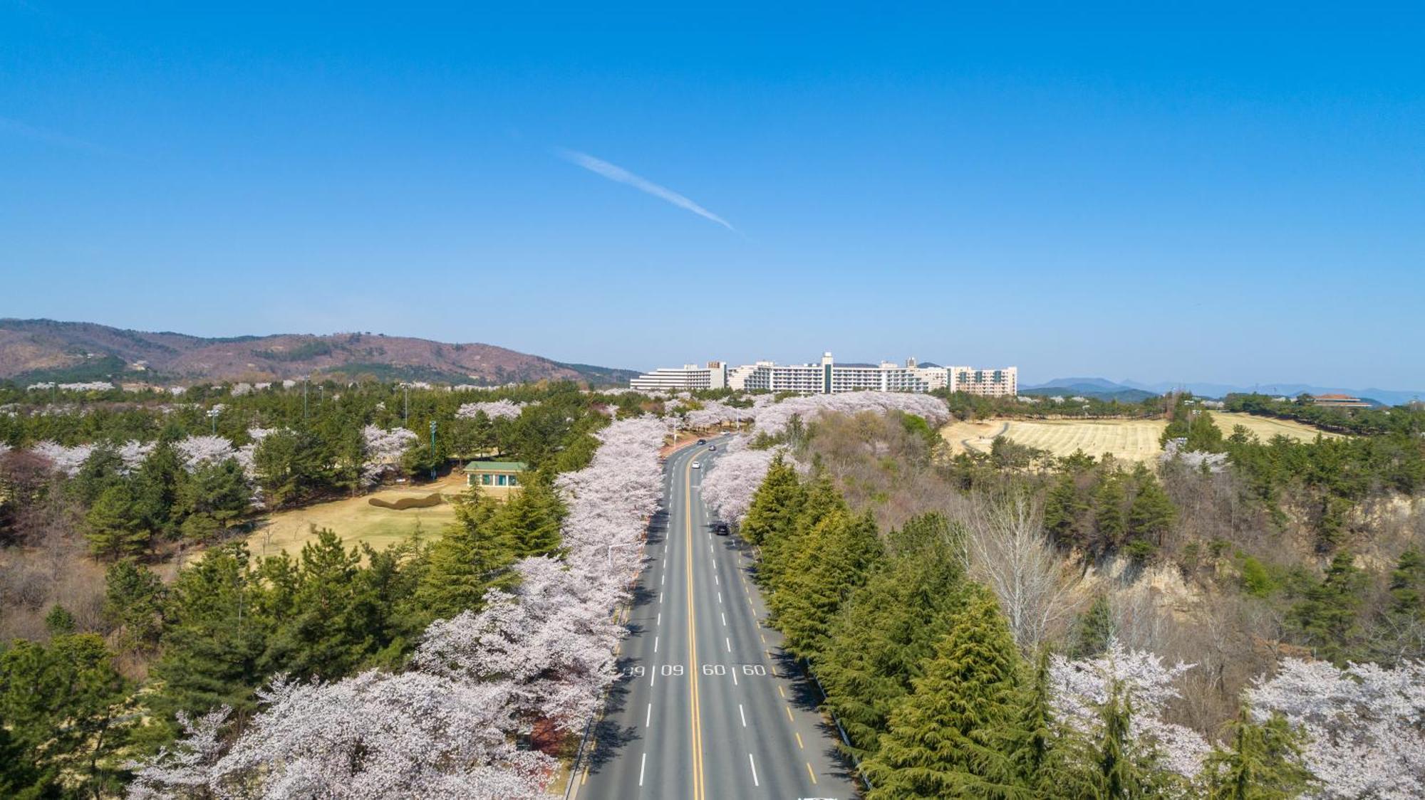 Kensington Resort Gyeongju Eksteriør billede